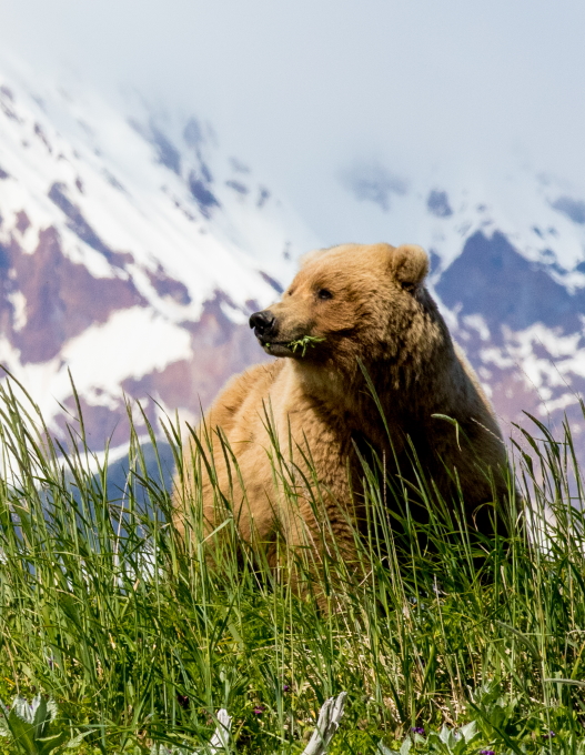 image of Alaska