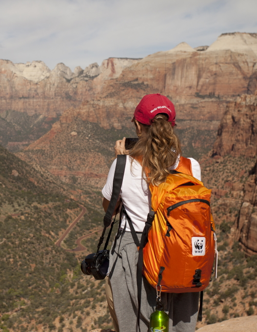 image of Travel Tips